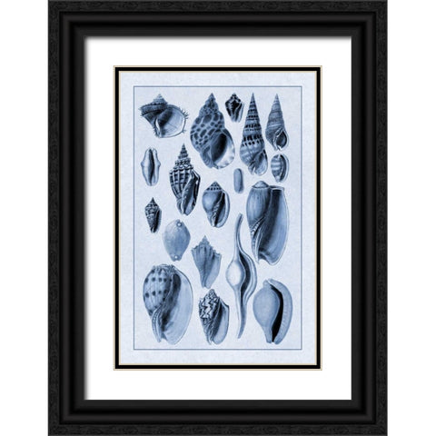 Shells: Trachelipoda #6 (Blue) Black Ornate Wood Framed Art Print with Double Matting by Sowerby, G.B.