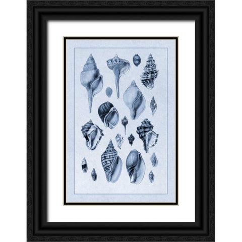 Shells: Sessile Cirripedes #3 (Blue) Black Ornate Wood Framed Art Print with Double Matting by Sowerby, G.B.