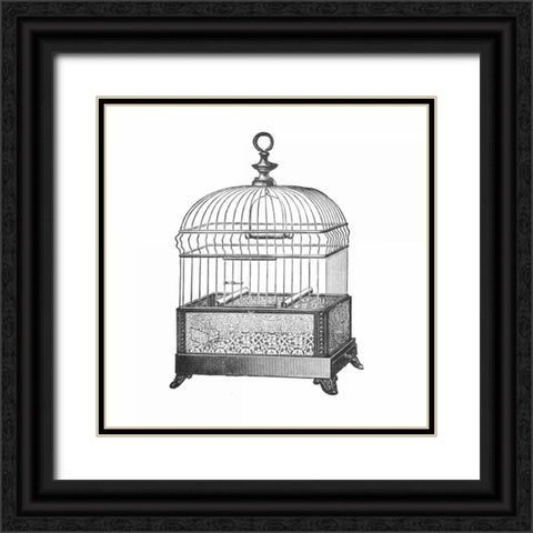 Etchings: Birdcage - Gable top, filigree base. Black Ornate Wood Framed Art Print with Double Matting by Catalog Illustration