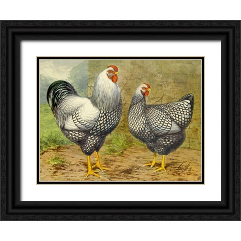 Chickens: Silver Laced Wyandottes Black Ornate Wood Framed Art Print with Double Matting by Wright, Lewis