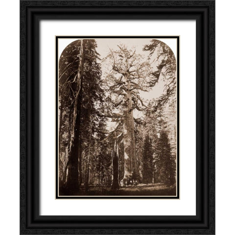 Grizzly Giant - 33 ft. diam. -  Mariposa Grove, Yosemite, California, 1861 Black Ornate Wood Framed Art Print with Double Matting by Watkins, Carleton