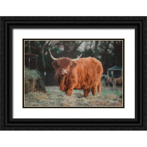 Hungry Cow I Black Ornate Wood Framed Art Print with Double Matting by Diener, Dakota
