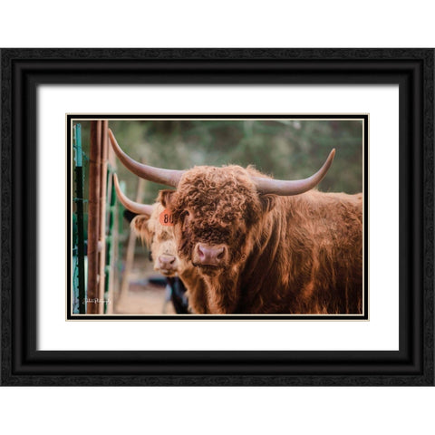 The Bull Black Ornate Wood Framed Art Print with Double Matting by Diener, Dakota