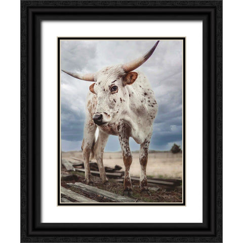 Cloudy Day Cow Black Ornate Wood Framed Art Print with Double Matting by Diener, Dakota
