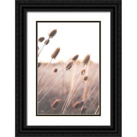 Field of Dreams II Black Ornate Wood Framed Art Print with Double Matting by Quillen, Donnie