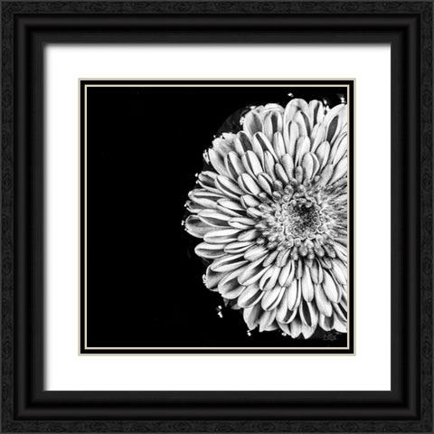 Black and White Love II Black Ornate Wood Framed Art Print with Double Matting by Quillen, Donnie