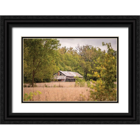 Barn in the Country II Black Ornate Wood Framed Art Print with Double Matting by Quillen, Donnie