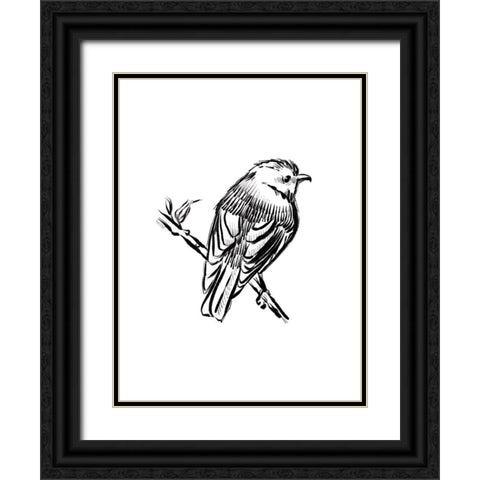 Songbird Sketch I Black Ornate Wood Framed Art Print with Double Matting by House Fenway