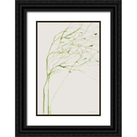 Thistle and Thatch Black Ornate Wood Framed Art Print with Double Matting by Kamdon Kreations