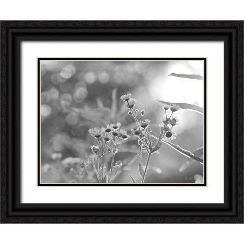 Wild Flowers III Black Ornate Wood Framed Art Print with Double Matting by Deiter, Lori
