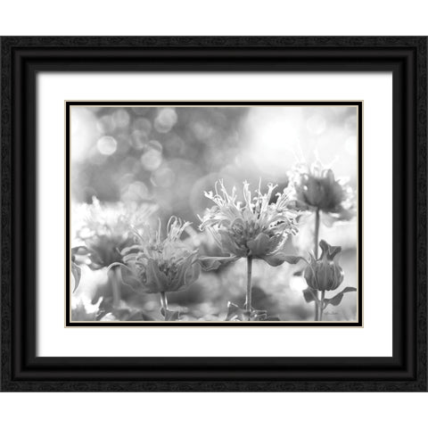 Wild Flowers IV Black Ornate Wood Framed Art Print with Double Matting by Deiter, Lori