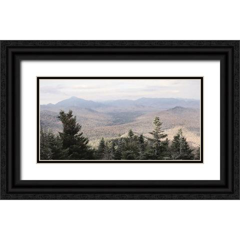 Adirondack Mountains 1 Black Ornate Wood Framed Art Print with Double Matting by Deiter, Lori