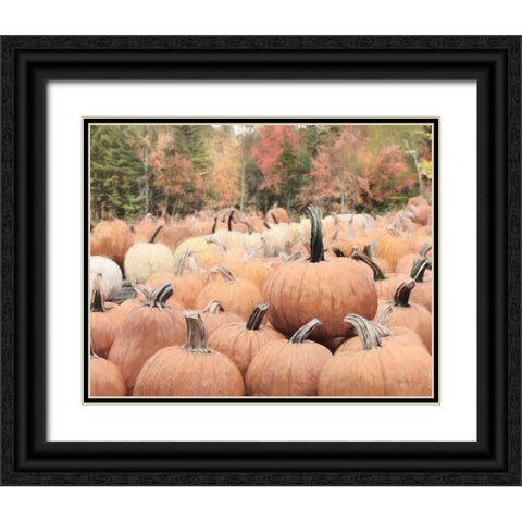 The Perfect Pumpkin Black Ornate Wood Framed Art Print with Double Matting by Deiter, Lori