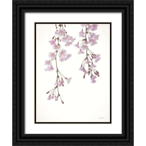 Weeping Cherry on White II Black Ornate Wood Framed Art Print with Double Matting by Deiter, Lori