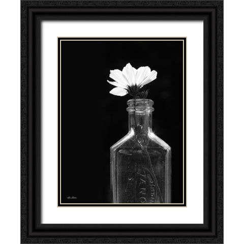 Illuminated Cosmos Black Ornate Wood Framed Art Print with Double Matting by Deiter, Lori