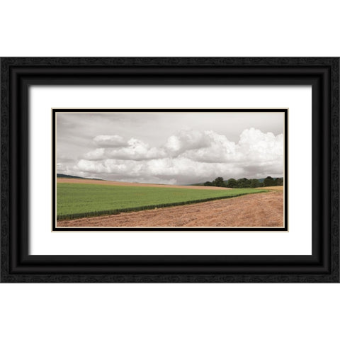 Country Storm Clouds Black Ornate Wood Framed Art Print with Double Matting by Deiter, Lori