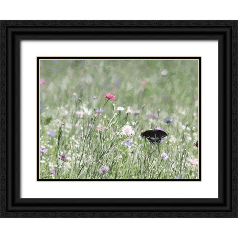 Butterfly Beauty Black Ornate Wood Framed Art Print with Double Matting by Deiter, Lori