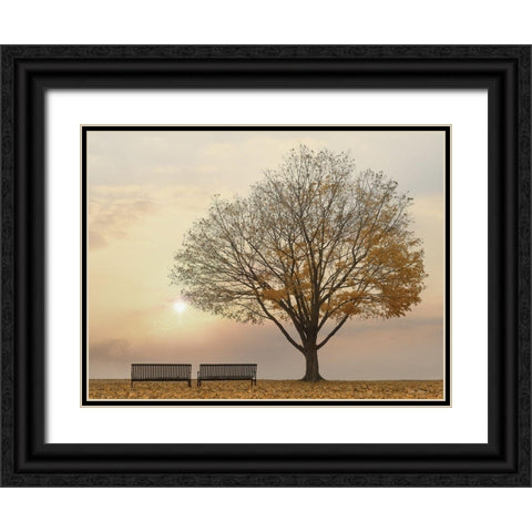 Golden Riverfront Sunrise Black Ornate Wood Framed Art Print with Double Matting by Deiter, Lori