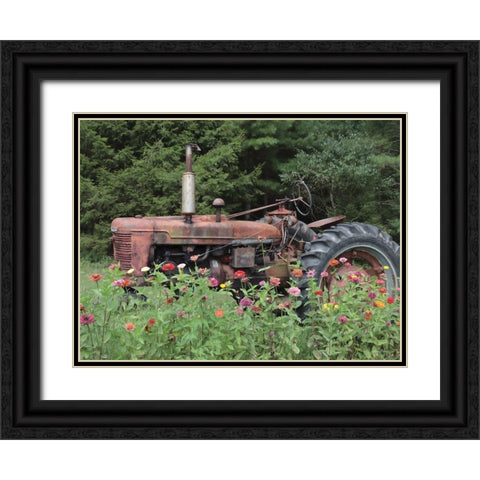 Hidden Gem Black Ornate Wood Framed Art Print with Double Matting by Deiter, Lori