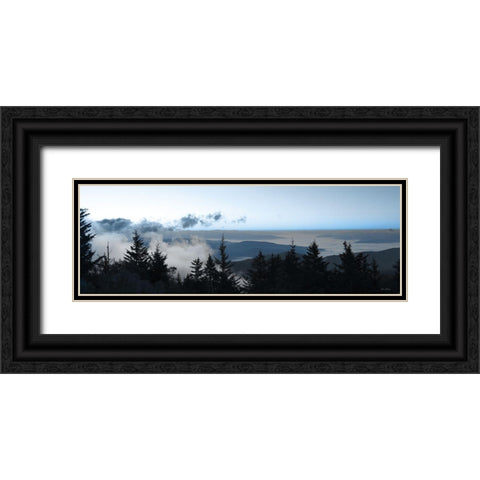 Clouds in the Trees Black Ornate Wood Framed Art Print with Double Matting by Deiter, Lori