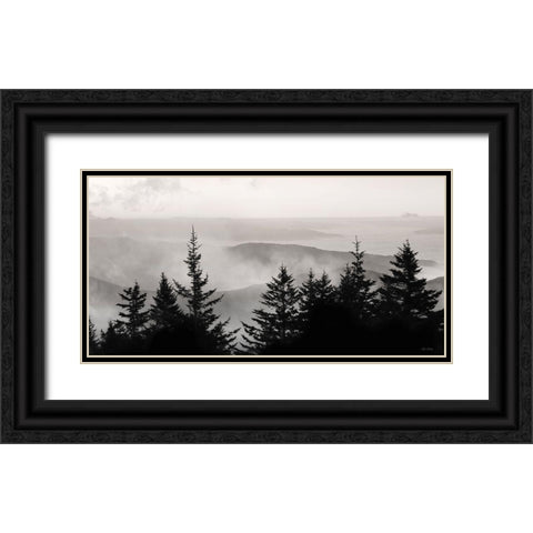 Elegant Layers III Black Ornate Wood Framed Art Print with Double Matting by Deiter, Lori