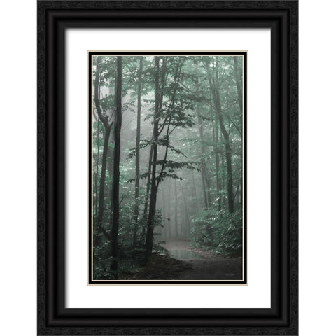 Misty Forest Black Ornate Wood Framed Art Print with Double Matting by Deiter, Lori