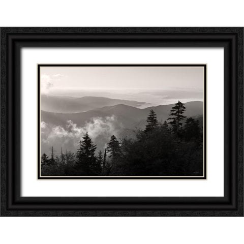 Mountain Layers 3 Black Ornate Wood Framed Art Print with Double Matting by Deiter, Lori