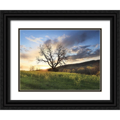 Clark Valley Sunset Black Ornate Wood Framed Art Print with Double Matting by Deiter, Lori
