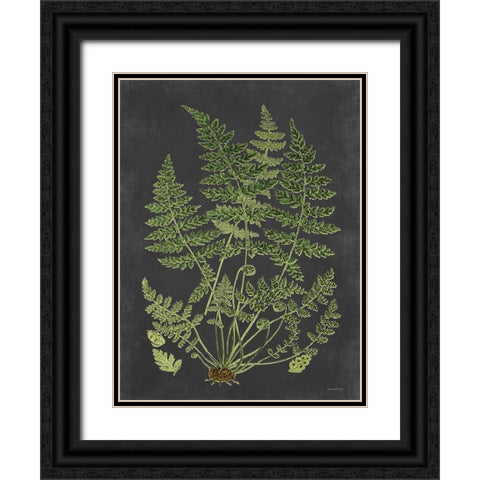 Fern Study Black Ornate Wood Framed Art Print with Double Matting by Lettered and Lined