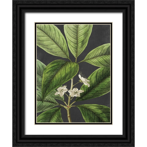 Grand Leaves Black Ornate Wood Framed Art Print with Double Matting by Lettered and Lined
