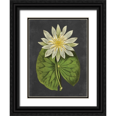 Lily Black Ornate Wood Framed Art Print with Double Matting by Lettered and Lined