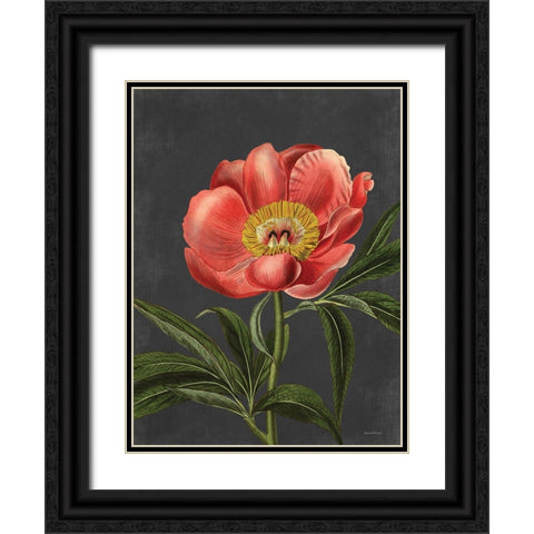 Peony Black Ornate Wood Framed Art Print with Double Matting by Lettered and Lined