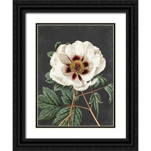 Vintage Rose Black Ornate Wood Framed Art Print with Double Matting by Lettered and Lined