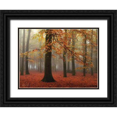 Miss Misty Black Ornate Wood Framed Art Print with Double Matting by Podt, Martin