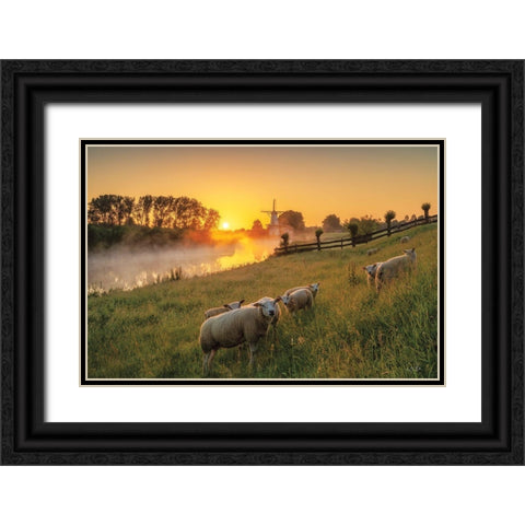 Sheep at Sunrise Black Ornate Wood Framed Art Print with Double Matting by Podt, Martin