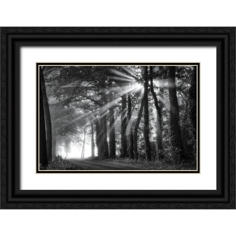 Amazing Rays Black Ornate Wood Framed Art Print with Double Matting by Podt, Martin