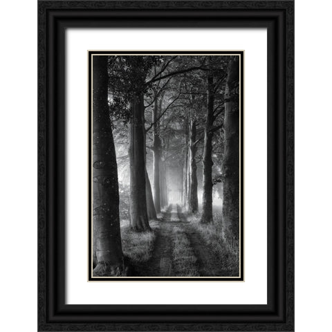 Forest Path Black Ornate Wood Framed Art Print with Double Matting by Podt, Martin
