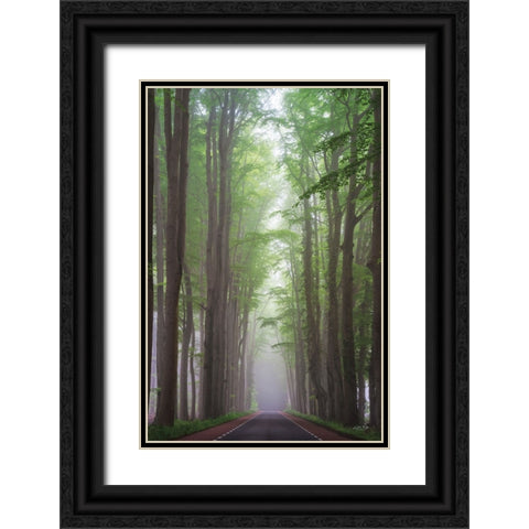 Foggy Road Black Ornate Wood Framed Art Print with Double Matting by Podt, Martin