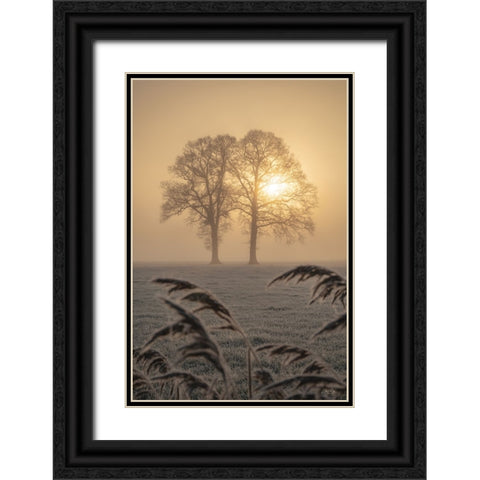 Frosted Sunrise II Black Ornate Wood Framed Art Print with Double Matting by Podt, Martin