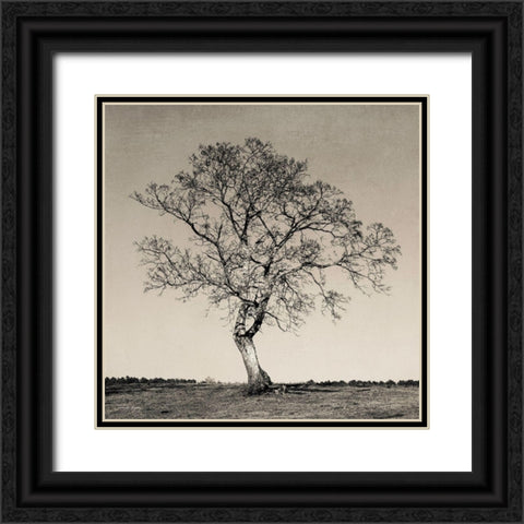 Tree No. 54 Black Ornate Wood Framed Art Print with Double Matting by Rigsby, Jennifer