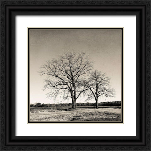 Tree No. 57 Black Ornate Wood Framed Art Print with Double Matting by Rigsby, Jennifer