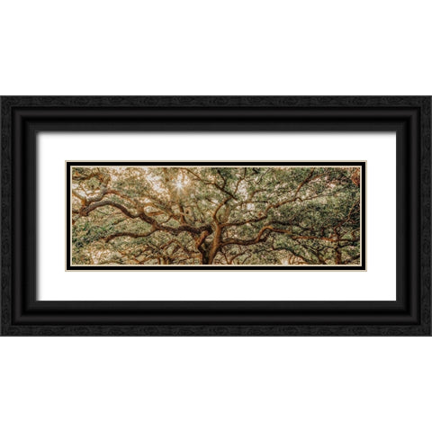 Low Country Oaks I Black Ornate Wood Framed Art Print with Double Matting by Rigsby, Jennifer
