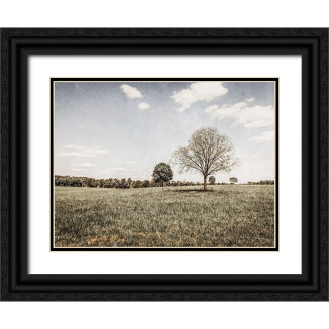 Together in the Fields I Black Ornate Wood Framed Art Print with Double Matting by Rigsby, Jennifer
