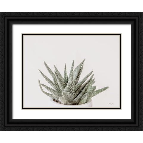 Boho Succulent Black Ornate Wood Framed Art Print with Double Matting by Rigsby, Jennifer