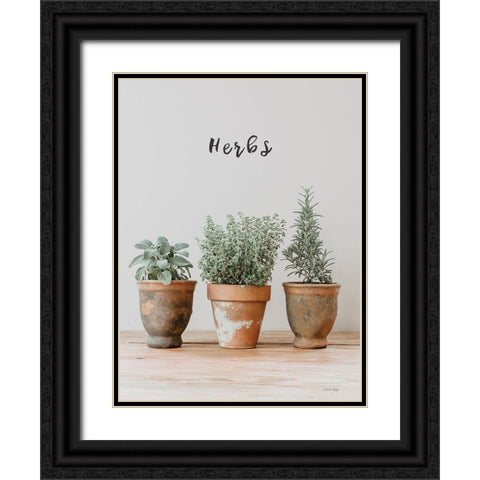 Farmhouse Herbs II Black Ornate Wood Framed Art Print with Double Matting by Rigsby, Jennifer