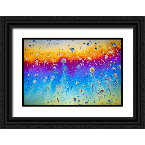 Abstract pattern of refracted light in soap bubble Black Ornate Wood Framed Art Print with Double Matting by Jones, Adam