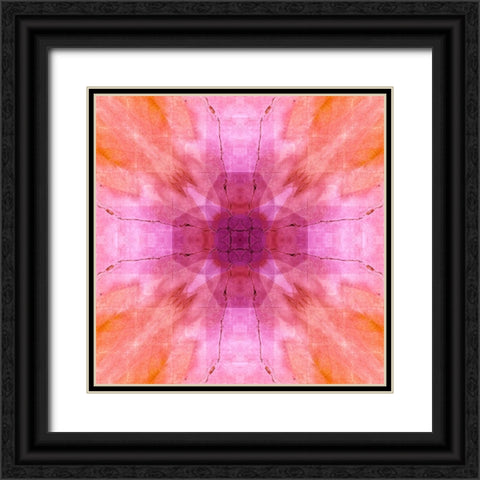 Pink and orange abstract Black Ornate Wood Framed Art Print with Double Matting by Jaynes Gallery