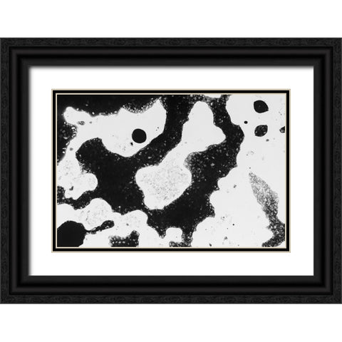 Color abstract Black Ornate Wood Framed Art Print with Double Matting by Muench, Zandria