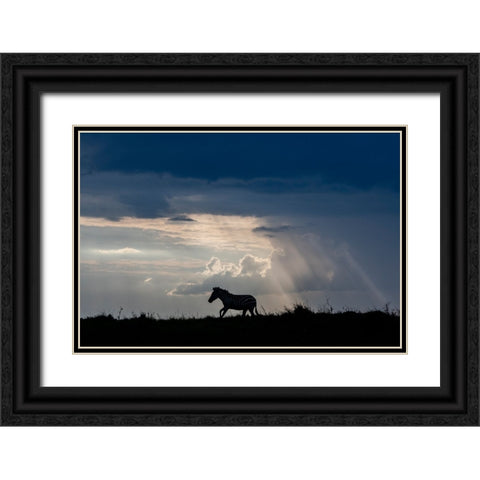 Africa-Kenya-Serengeti-Maasai Mara-Burchells zebra-Sihouette of zebra Black Ornate Wood Framed Art Print with Double Matting by Hopkins, Cindy Miller