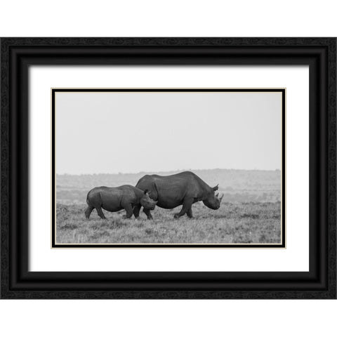 Africa-Kenya-Serengeti-Maasai Mara-Black rhinoceros-Critically endangered Black Ornate Wood Framed Art Print with Double Matting by Hopkins, Cindy Miller